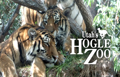 Hogle Zoo